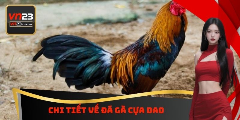 Chi tiết về đá gà cựa dao