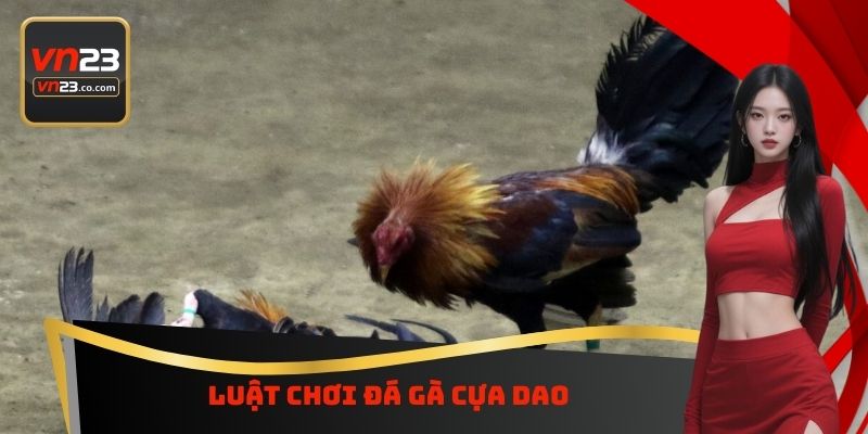 Luật chơi đá gà cựa dao