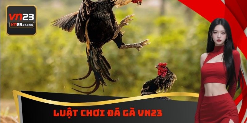 Luật chơi đá gà VN23