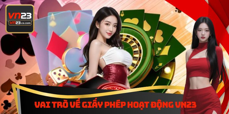 Vai trò về giấy phép hoạt động Vn23